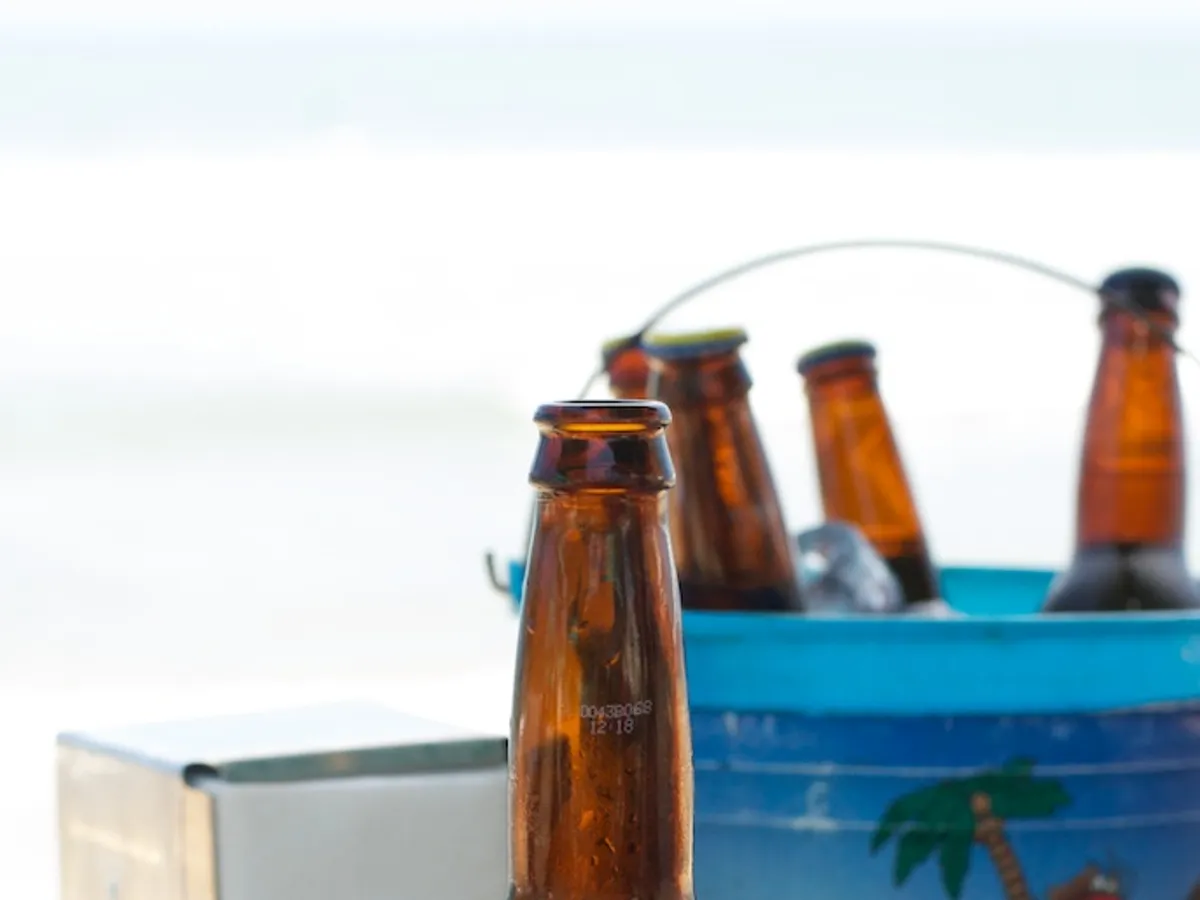 Pacifico — Pale Lager